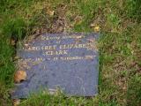 image of grave number 919768